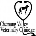 Chemung Valley Veterinary