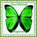 Social Butterfly Consignment