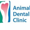 Animal Dental Clinic