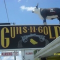 Guns N Gold