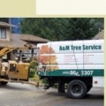 A & M Tree Service