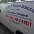 All Pest & Wildlife Removal