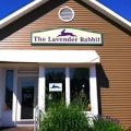 The Lavender Rabbit