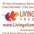 Livingston Family Tree Service