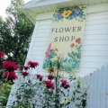 Forget Me Not Flower Shop