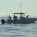 A-1 Fishing Charters