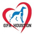 Greyhound Pets of America Houston Inc
