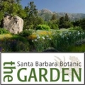 Santa Barbara Botanica Garden