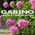 Gabino Lawn & Landscaping