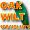 Oak Wilt Specialists of Texas
