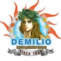 Demilio Inc