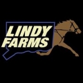 Lindy Farms Of Connecticut