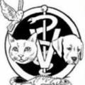 Paws 'N Claws Veterinary Clinic