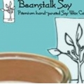 Beanstalk Company