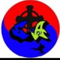 Enlighten Taekwondo Academy