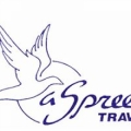 A Spree Travel