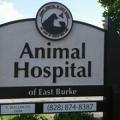 Animal Hospital of East Burke