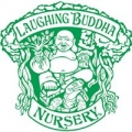 Laughing Buddha Nursery