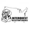 Interquest Detection Canines