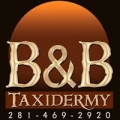 B & B Taxidermy