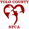 Spca Yolo County Thrift Store