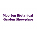 Moorten Botanical Garden Showplace