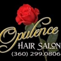Hair Salon Opulence
