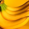 Banana Distributing Co