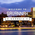 Savannah Scene