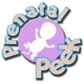 Prenatal Peek Ultra Sound