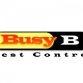 Busy B Pest Control