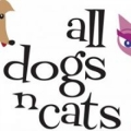 All Dogs N Cats