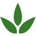 Green Tree Community Health Foundation