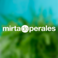 Mirta De Perales Inc