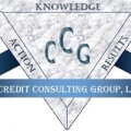 Credit Consulting Group LLC