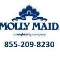 MOLLY MAID of Grosse Pointe