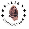 Alie Foundation-Denver