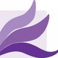 Brevard Alzheimers Foundation