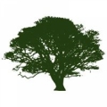 Princeton Tree Service