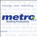 Metro Services Group Inc