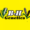 B-H Services Inc