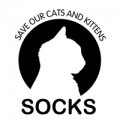 Socks Animal Shelter