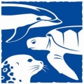 National Marine Life Center