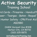 Active Security Training