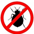 Anytime Termite & Pest Control