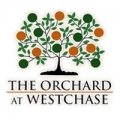 The Orchard At Westchase