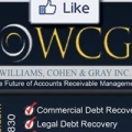 Williams Cohen & Gray Inc