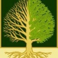 Bridgetown Tree Service