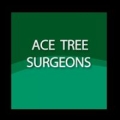 Ace Tree Surgeons
