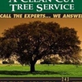 Clean Cut Tree Service & Stump Grinding